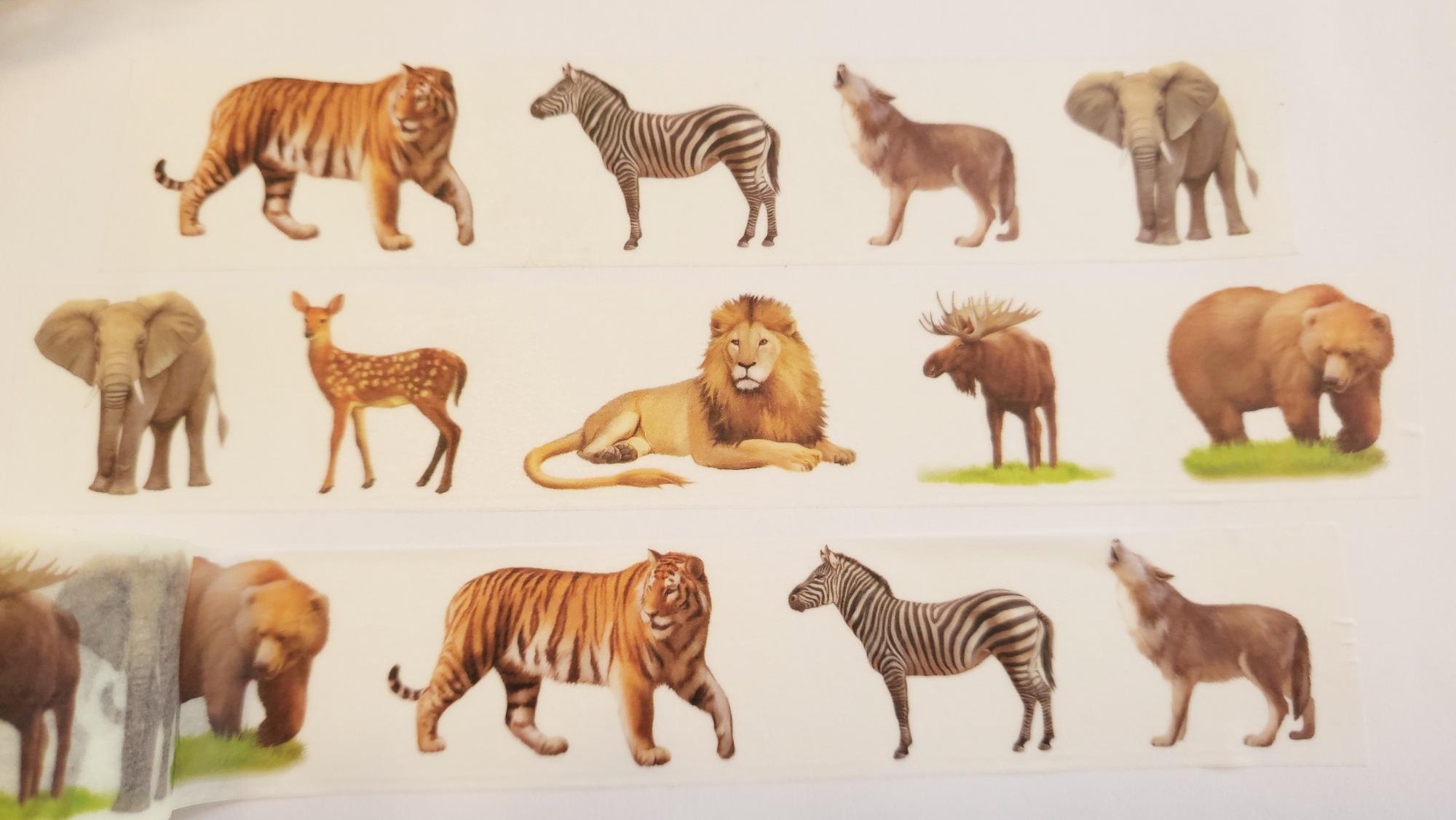 Design Washi Tape Animals